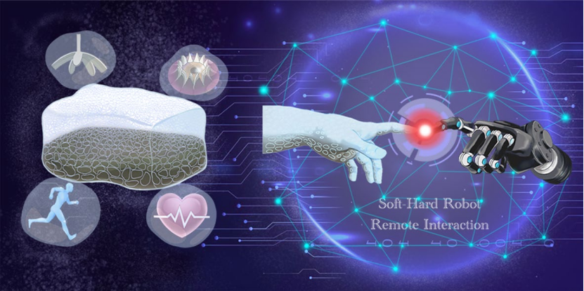 云开体育各种视频输出接口蓝牙蓝牙驱动官网东北大学成功研发仿生